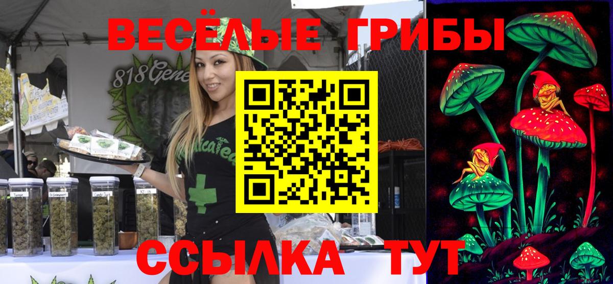 где найти наркотики  Галлюциногенные грибы Psilocybine cubensis  Вход с VPN  Алушта 