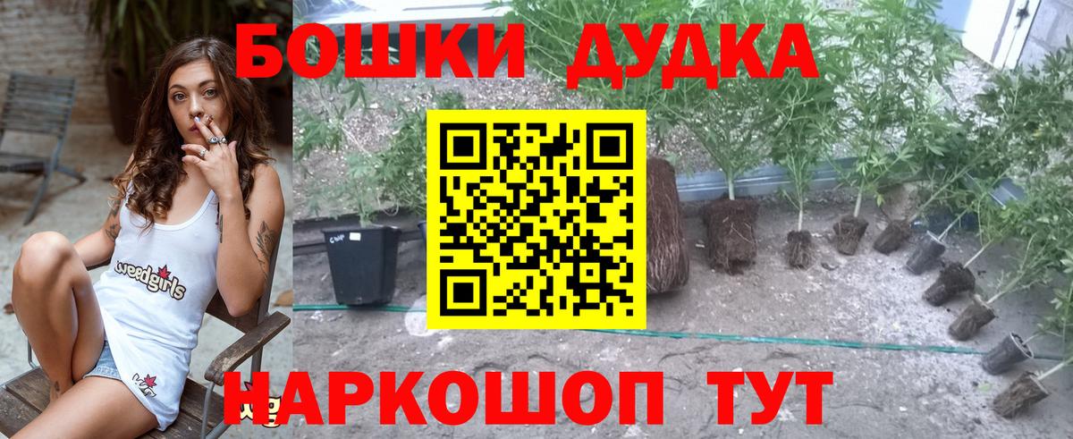 Бошки Шишки MAZAR Алушта